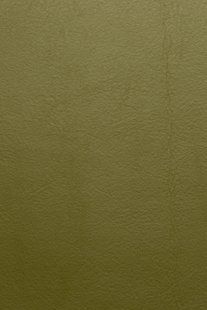 Bella Nappa 5832 Olive