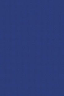Ткань Sunbrella 5499 True Blue