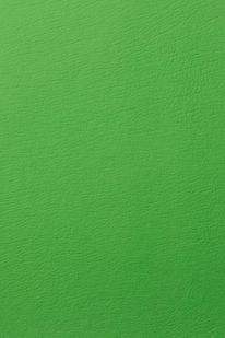 Boltaflex 454326 Lime
