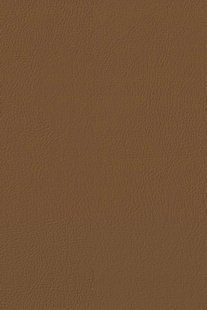 Coastline 3511 Clay