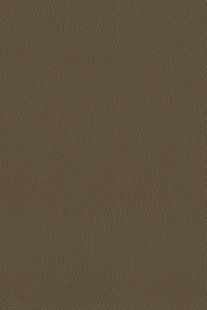 Coastline 3513 Sealskin