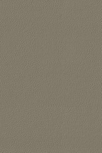 Coastline 3512 Fossil