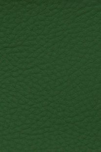 Bella Grana 4166 Moss