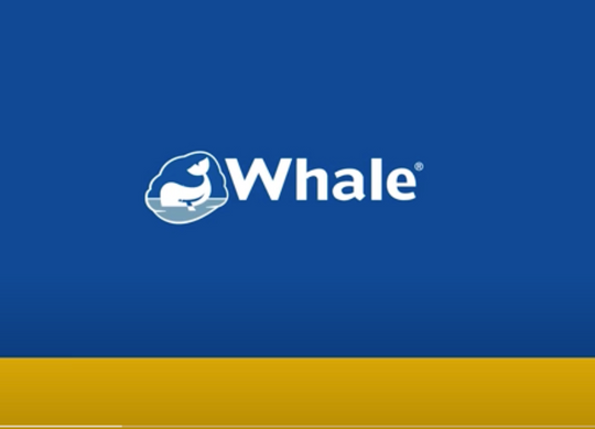 Автоматичний Трюмна помпа Whale Supersub Smart 650 12V