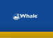 Автоматичний Трюмна помпа Whale Supersub Smart 650 12V